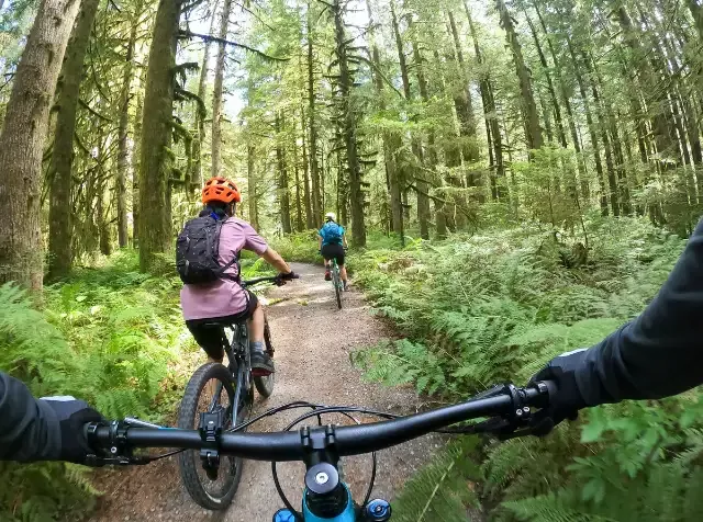 Drei Personen unternehmen eine entspannte Fahrt auf E-Bikes entlang eines malerischen Waldwegs und können diese dank der hochwertigen Ausstattung über den Pluxee Benefit E-Bikes & Fahrradleasing in vollen Zügen genießen. 